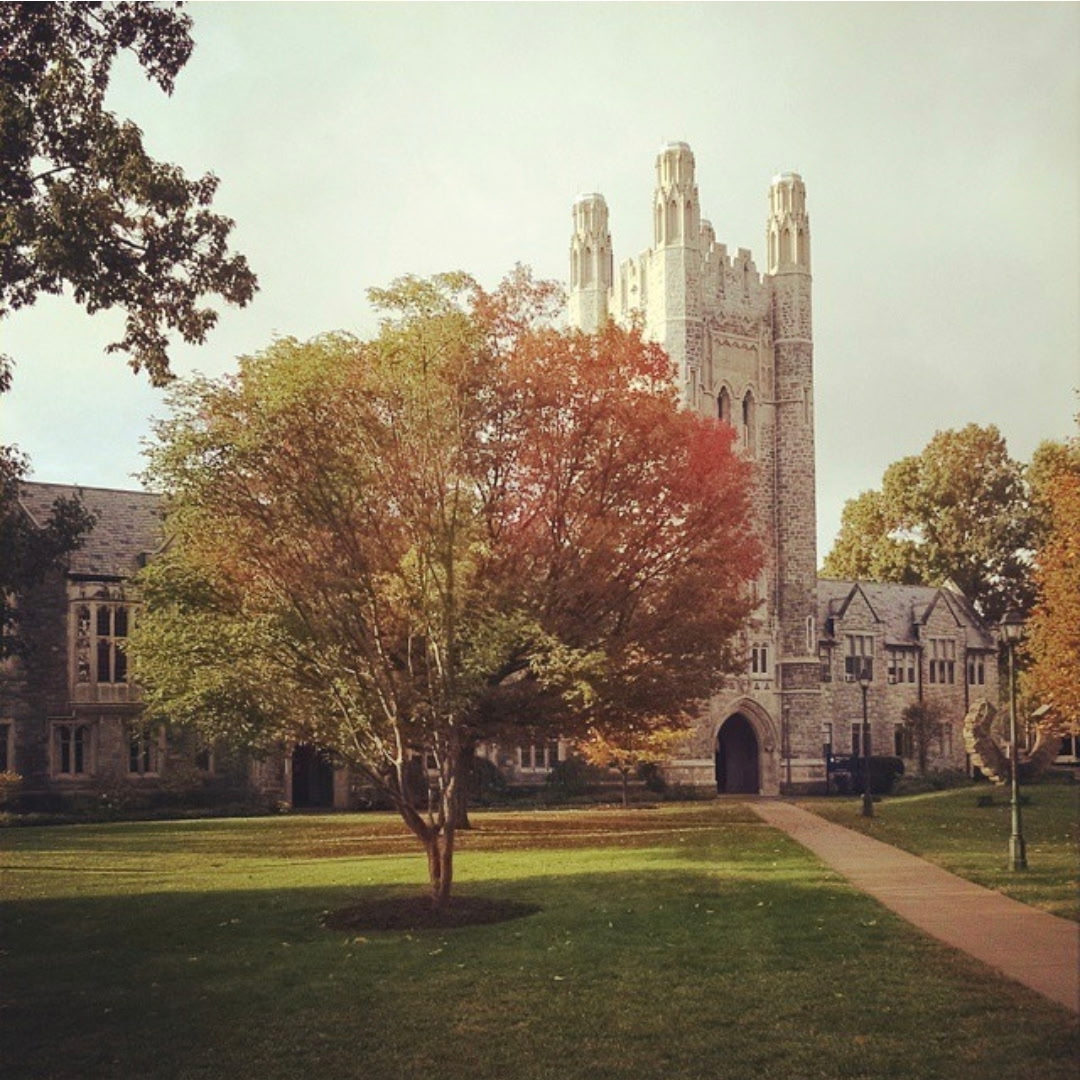 Megan Wade Speaks on UConn Law Panel About Careers in Appellate Law