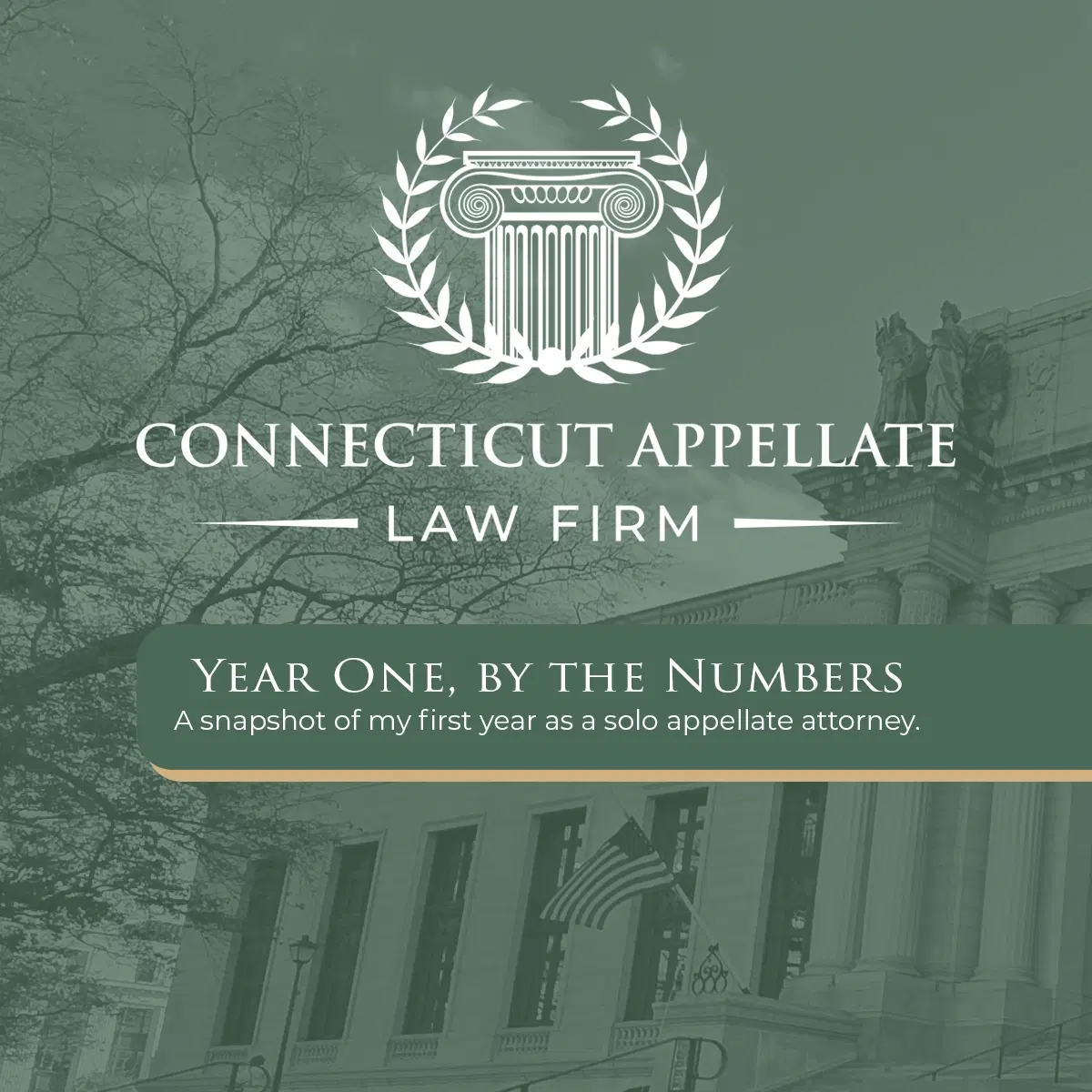 One Year of Connecticut Appellate Law Firm: A Year in Review 